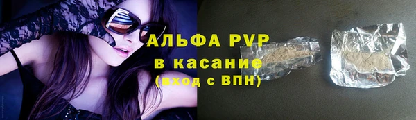 сатива Куйбышев