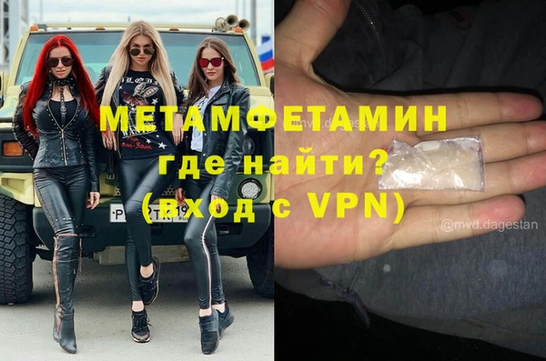 сатива Куйбышев