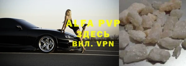 сатива Куйбышев