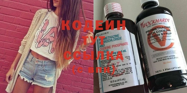 сатива Куйбышев